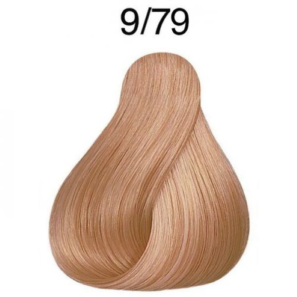 Fő kép